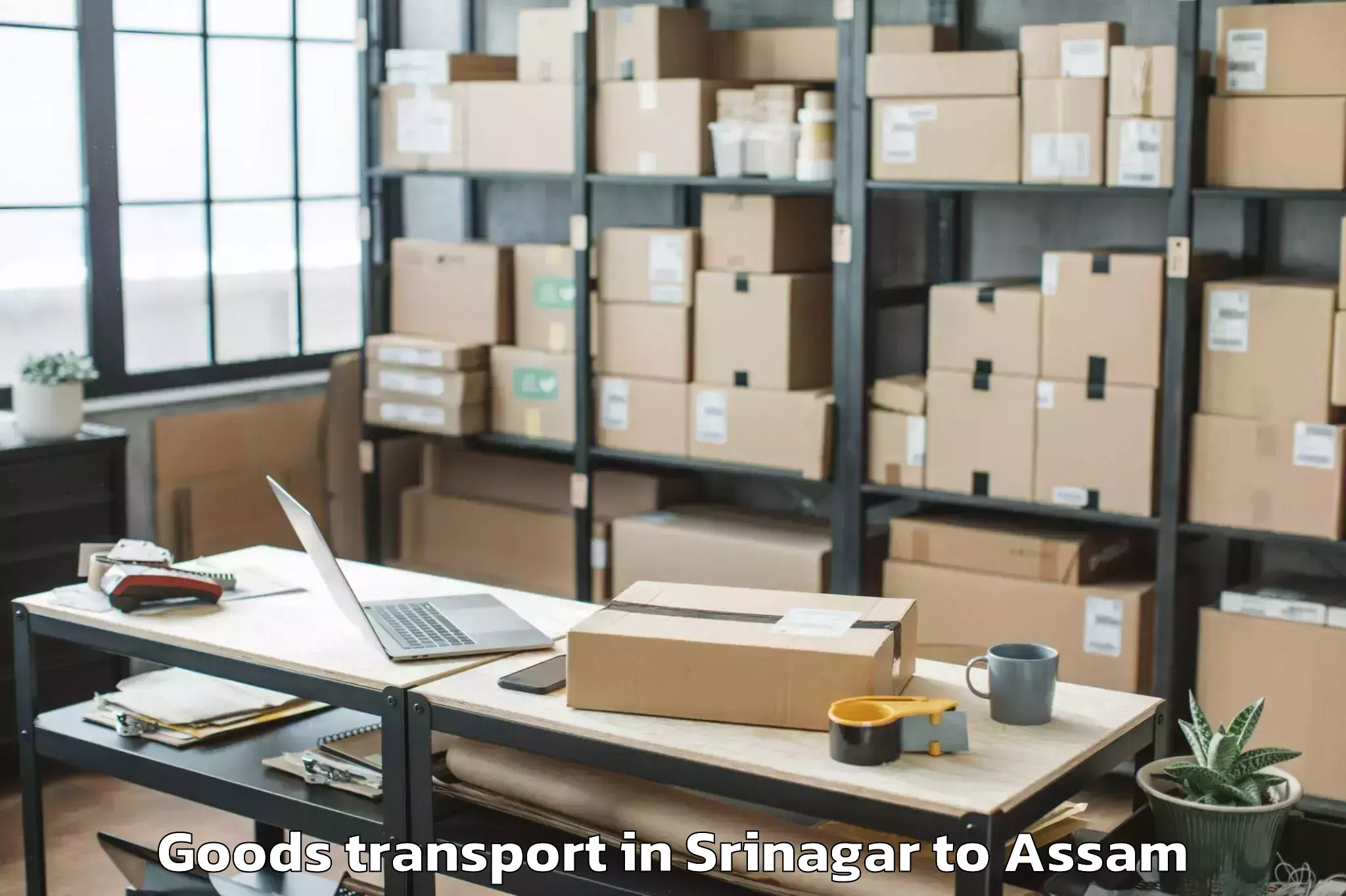 Book Srinagar to Kumbhirgram Airport Ixs Goods Transport Online